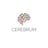 Cerebrum Digital Logo